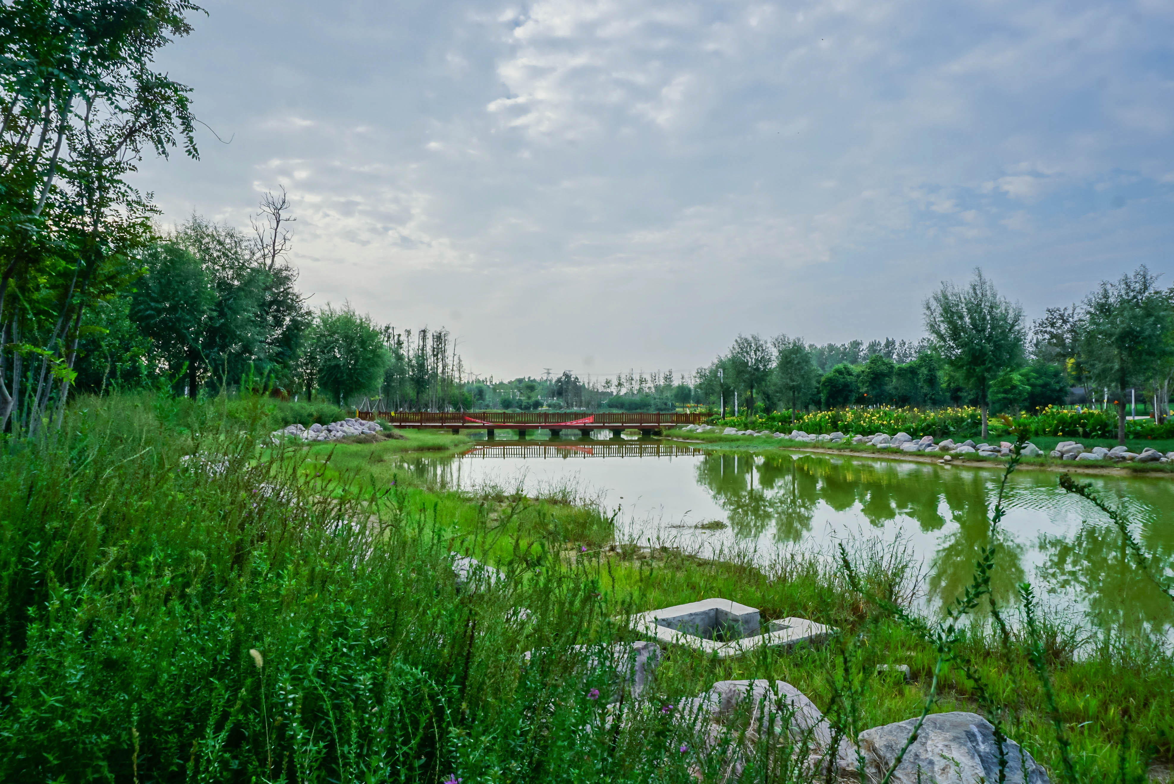 鄭州錦和公園